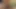 Seksi amatör sanatçılar tutku erotik ve porno filme alıyor