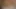 Hotkinkyjo tarafından yatakta dildoyla derine iniyor
