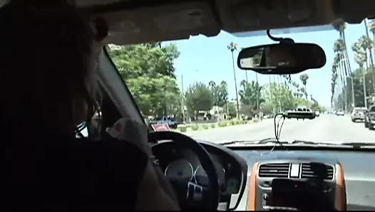 tüm millet ırklararası puma avı - cilt 04