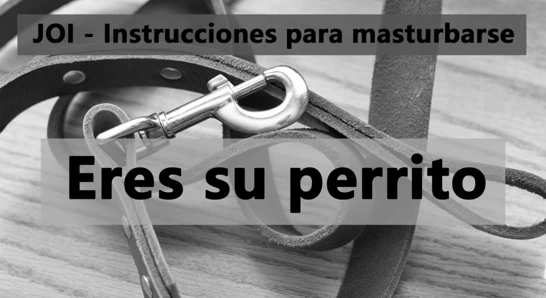 İspanyolca joi - eres su perrito. köpek yavrusu oyunu.