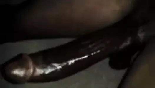 okşayarak the siyah horoz