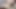 Dünyanın en iyi oral seksi, çok açgözlü gavatın yarağını sikiyor