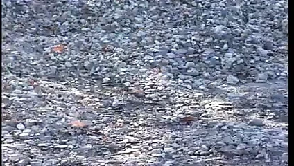 Port Du Casque Obligatoire