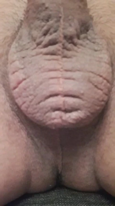 Arxidia etoima gia adeiasma