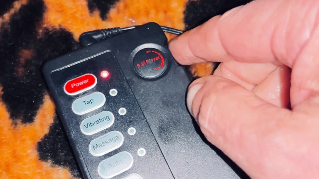 Dani ve tüm arkadaşları için bebek boşalması