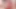 Hot Blowjob Ends in a Horny Sex Experience With the Neighbor Boy