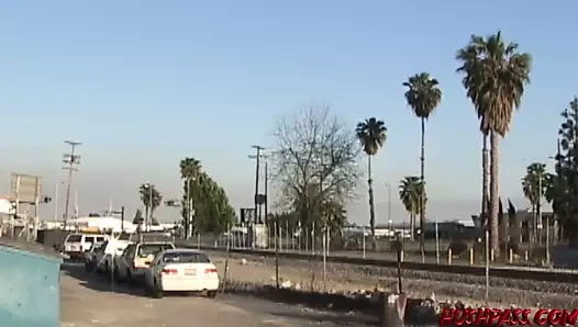 teşhirci goldie coxx sokaklarda çıplak dolaşıyor