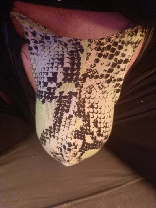 Bu yılanı gerçekten seviyorum