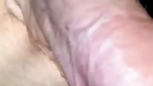 Pija madura erecta muy dura