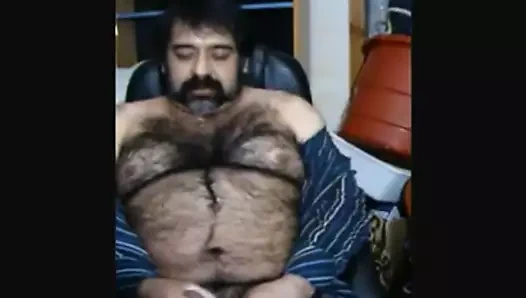 Büyük kıllı ayı ve kıllı vücut