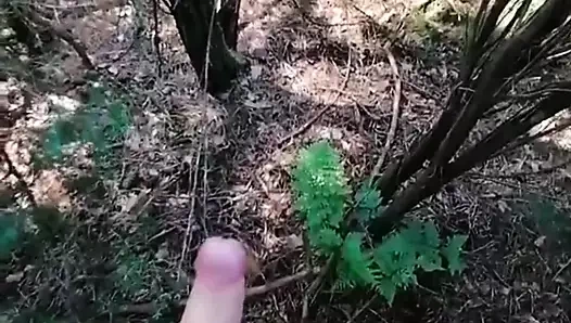 büyük inilti orman twinks dışında