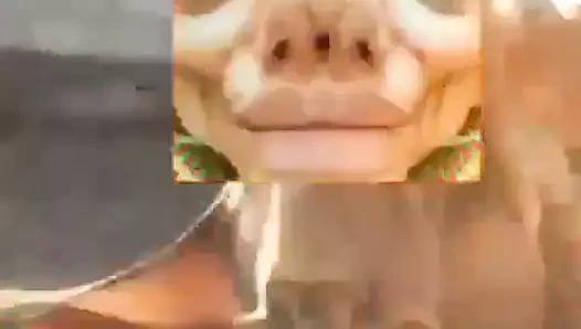 Tüm öfkeye rağmen