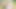 Tirol'de orgazm piknik - groupsexsweethearts