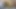 4k. oral seks Önce sikini emerken dildoma biniyorum. Amatör çift