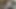 8 inç arasında siyah çük için bbw