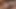 Derin boğaz esmer babes Assfucked tarafından bbcs için yüz