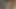 Tavşan kız anal seks yapıyor