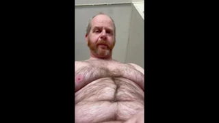 papa bear