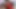 Ders çalışmak istedim ama sonunda öğretmenimle porno videolar çektim